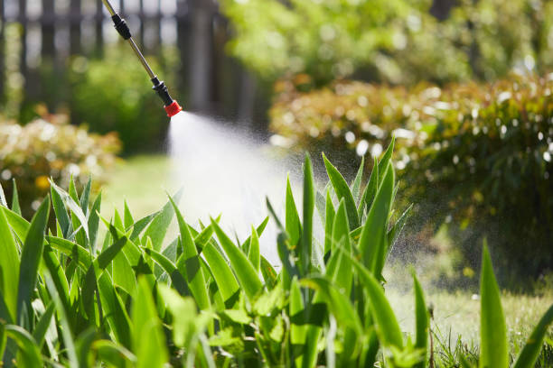 24/7 Emergency Cockroach Control experts in Elmwood, IL