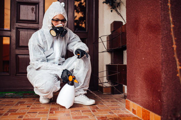 Reliable Cockroach Control contractor in Elmwood, IL by Nex Pest Control